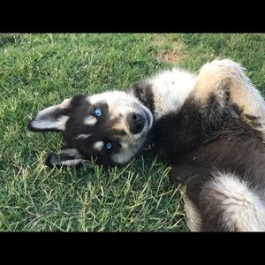 Meet your Posher, Laura